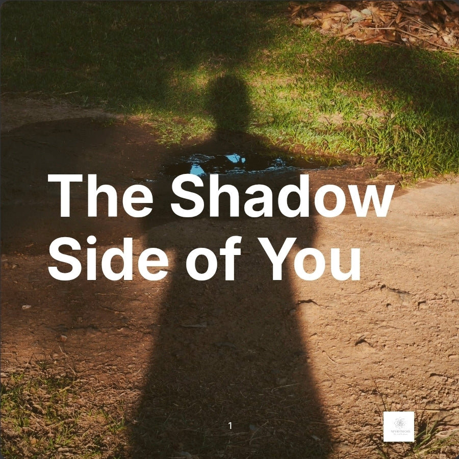 The Shadow Side of You ebook