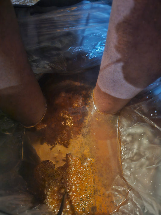 Ionic Foot Detox
